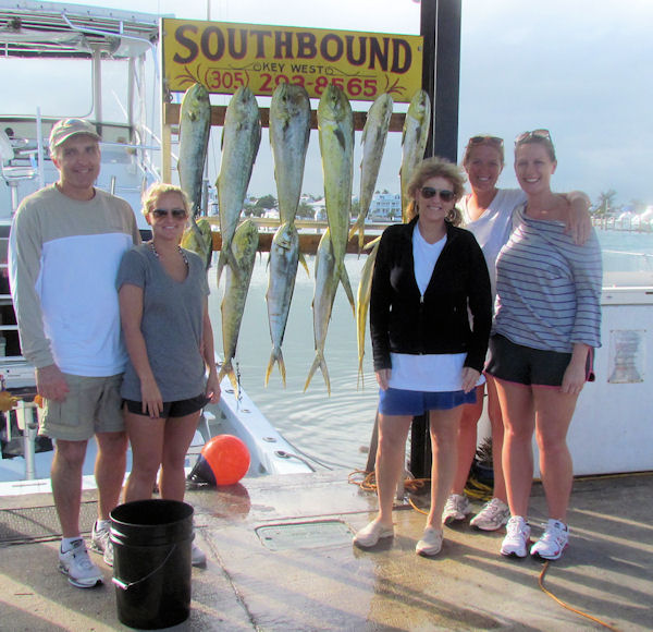 Dolphin caught fishing in Key West on Charter Boat Southbound from Charter Boat Row Key West
