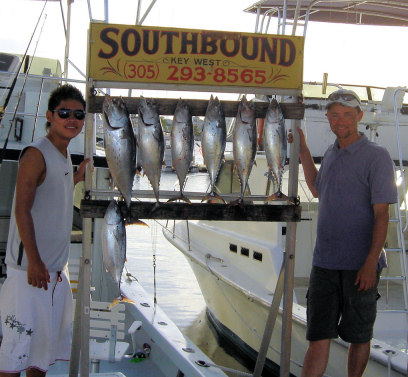 Bonitos caught fishing on Charter Boat Southbound in Key West Florida