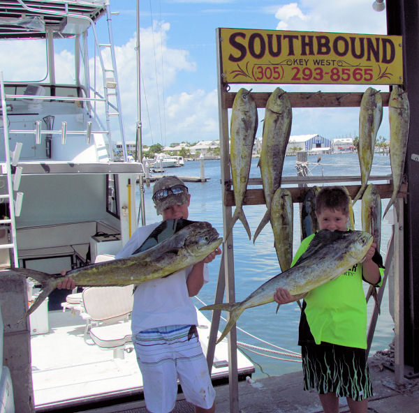 dolphin caught in Key West fishing on charter boat Southbound