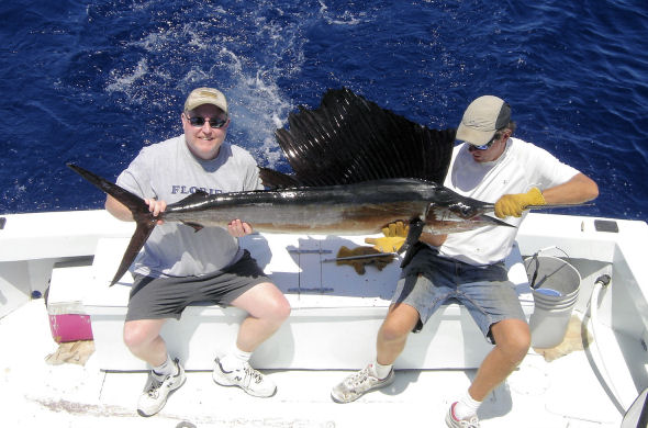 Sailfish caught and released on Key West fishing charter boat Southbound from Charter Boat Row Key West