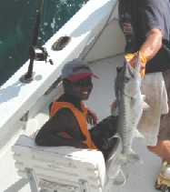 Key West Barracuda