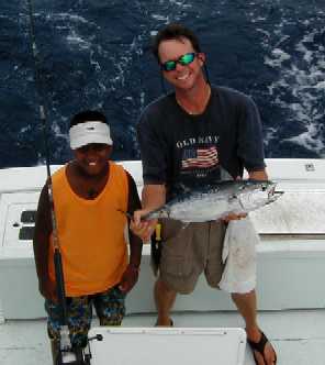 Bonitos off Key West, Florida