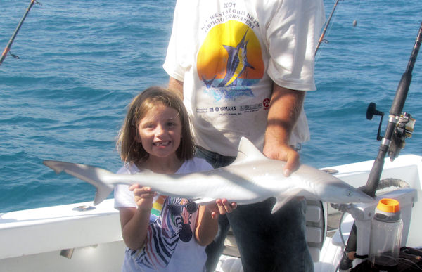 Small Shark caught in Key West fishing on charter boat Southbound from Charter Boat Row