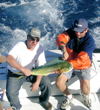 Dolphin caught fishing aboard the Charter Boat Southbound in Key West, Florida