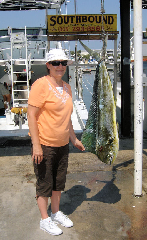dolphin caugth in Key West fishing on Key West charter boat Southbound from Charter Boat Row