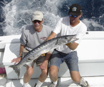Big Barracuda caught deep sea fishing in Key West, Florida on Charter boat Southbound from Charter Boat Row, Key West