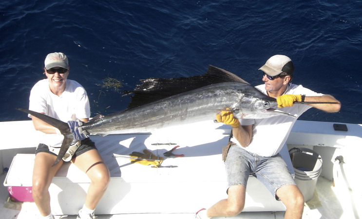 Sailfish caught in Key West fishing on charter boat Southbound from Charter Boat Row Key Wes