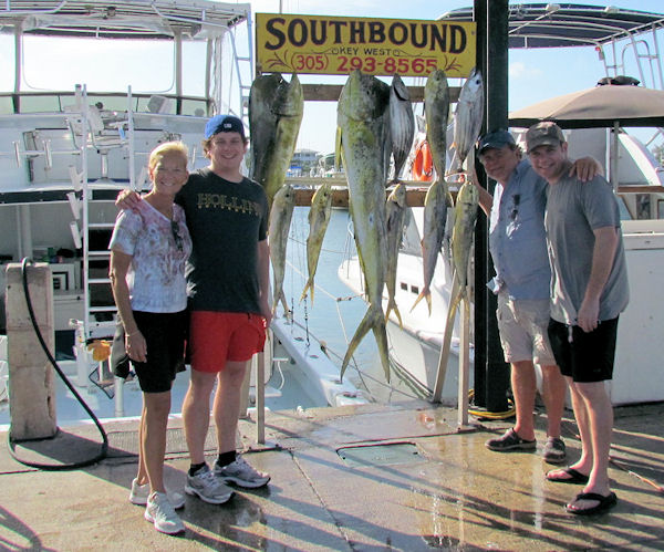 Dolphin caught fishing Key West on charter boat Southbound from Charter Boat Row Key West
