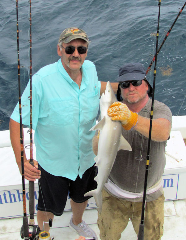 Shark caught fishing in Key West on Charter Boat Southbound from Charter Boat Row Key West