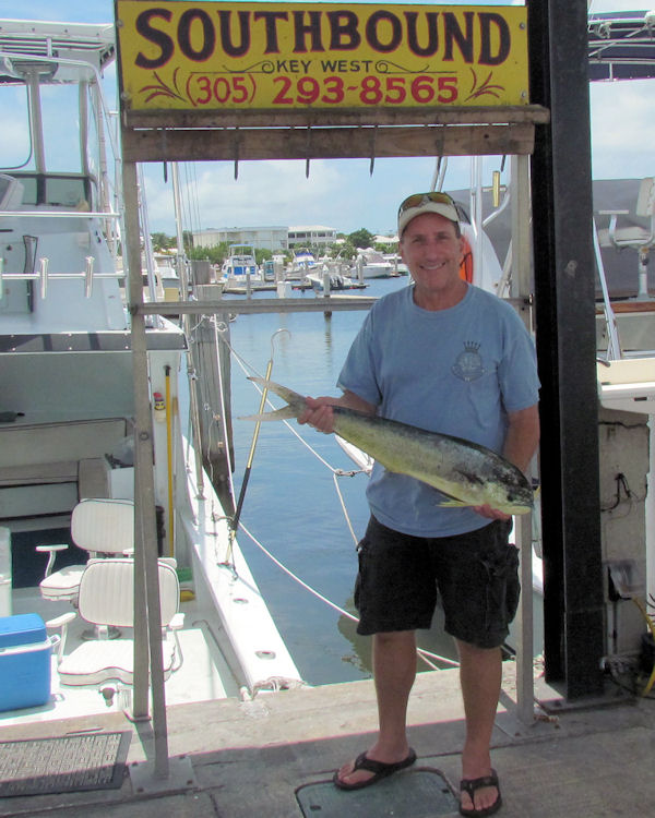 dolphin caught fishing in Key West on Charter Boat Southbound from Charter Boat Row Key West