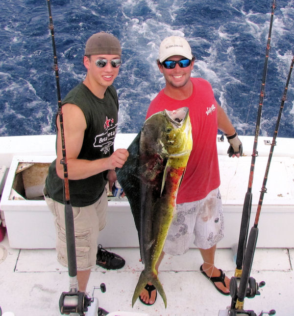 dolphin caught in Key West fishing on charter boat Southbound from Charter Boat Row Key Wes