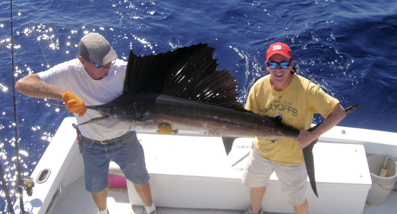 Sailfish caught in Key West fishing on charter boat Southbound from Charter Boat Row Key West