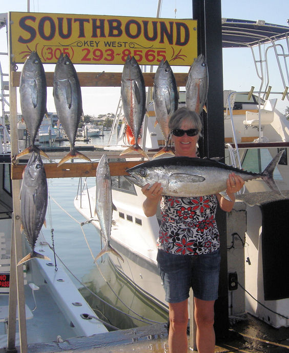 Black Fin Tuna caught in Key West fishing on Key West Charter fishing boat Southbound from Charter Boat Row Key West