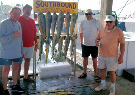 Dolphin caught fishing aboard the charter boat Southbound in Key West, Florida