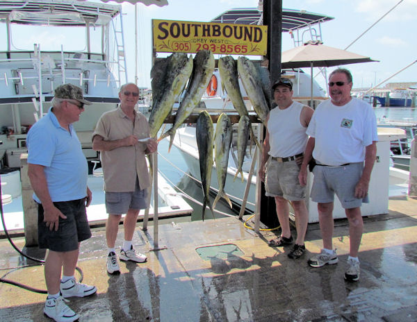 Dolphin caught fishing Key West on charter boat Southbound from Charter Boat Row Key West