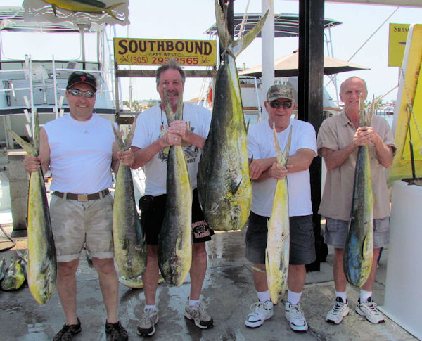 Dolphin caught fishing Key West on charter boat Southbound from Charter Boat Row Key West