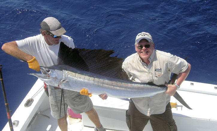 Sailfish caught and released in Key West fishing on charter boat Southbound from Charter Boat Row Key West