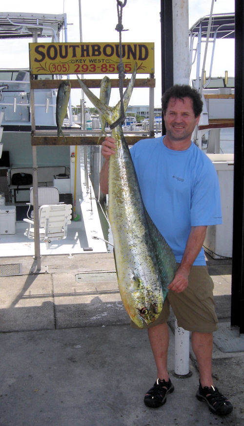 dolphin caugth in Key West fishing on Key West charter boat Southbound from Charter Boat Row