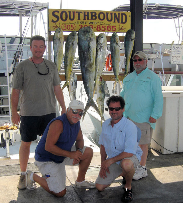 dolphin caugth in Key West fishing on Key West charter boat Southbound from Charter Boat Row