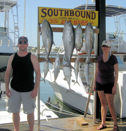 Black Fin tuna caught in Key West fishing on Key West charter boat Southbound from Charter Boat Row