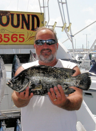 Tripel Tail caught fishing on Charter Boat Southbound in Key West Florida