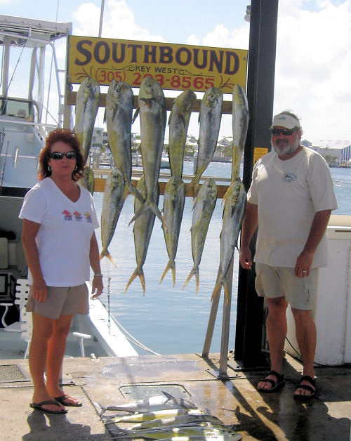 dolphin caught in Key West fishing on charter boat Southbound from Charter Boat Row Key West