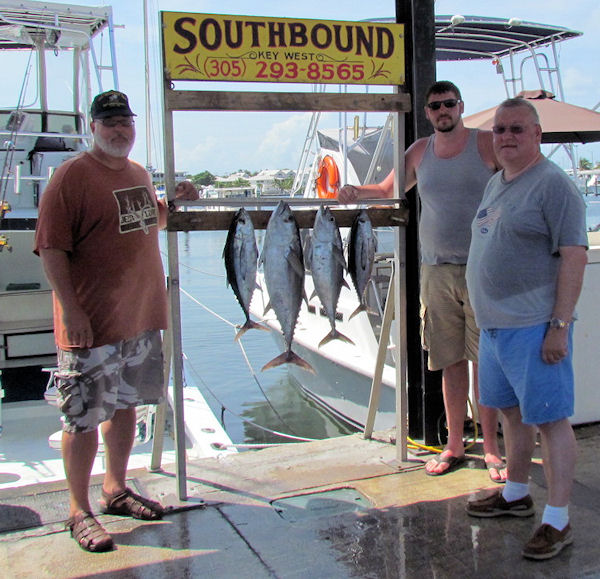 Black Fin Tuna caught fishing Key West on charter boat Southbound from Charter Boat Row Key West