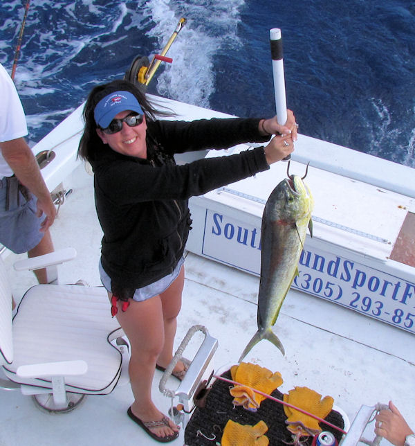 Dolphin caught in Key West fishing on charter boat Southbound from Charter Boat Row, Key West