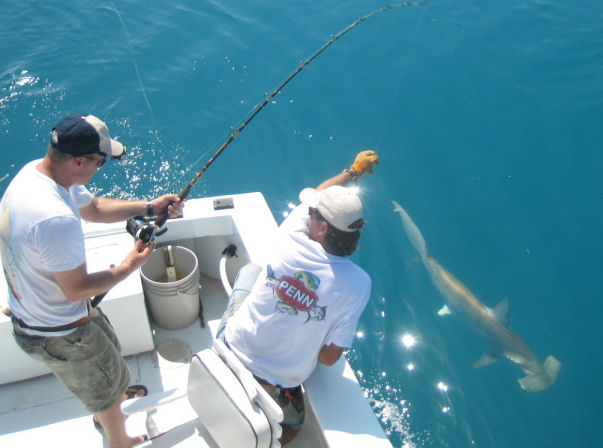 Southbound Sport Fishing Key West Florida