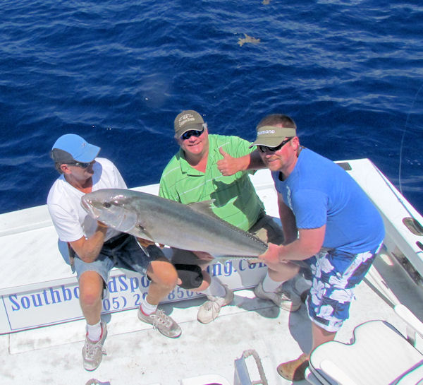 Amberjack caught in Key West fishing on charter boat Southbound from Charter Boat Row, Key West