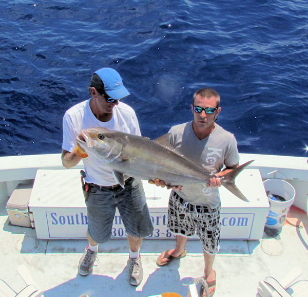 Amberjack caught in Key West fishing on charter boat Southbound from Charter Boat Row, Key West