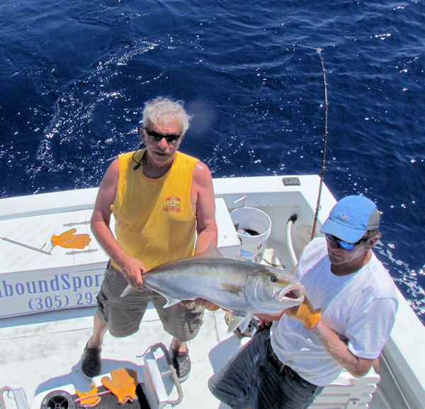 Amberjack caught in Key West fishing on charter boat Southbound from Charter Boat Row, Key West