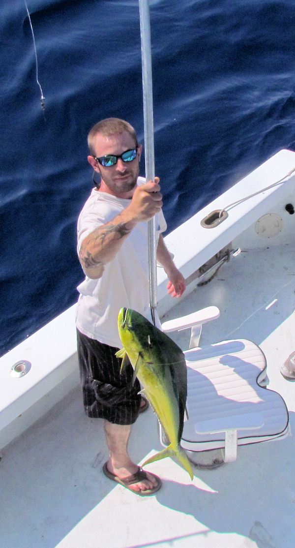 Dolphin caught in Key West fishing on charter boat Southbound from Charter Boat Row, Key West