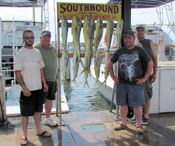 Dolphin caught in Key West fishing on charter boat Southbound from Charter Boat Row, Key West
