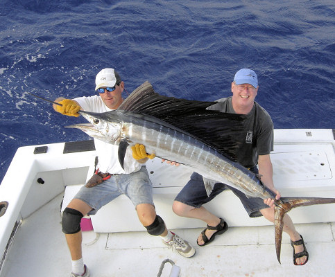 Sailfish caught and released fishing Key West aboard charter boat Southbound