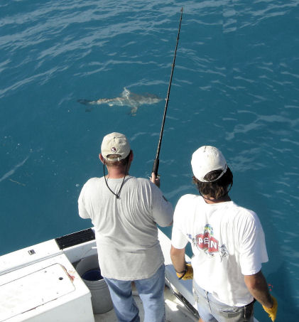 Southbound Sport Fishing Key West Florida