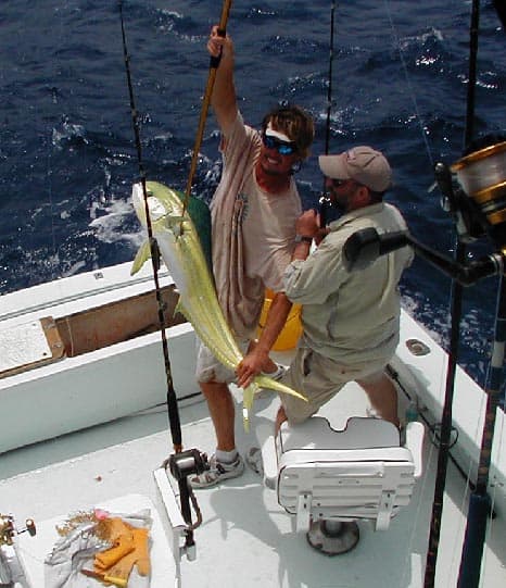 Key West Dolphin Fishing