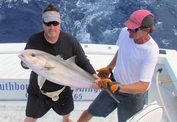 Amberjack caught in Key West fishing on charter boat Southbound from Charter Boat Row, Key West