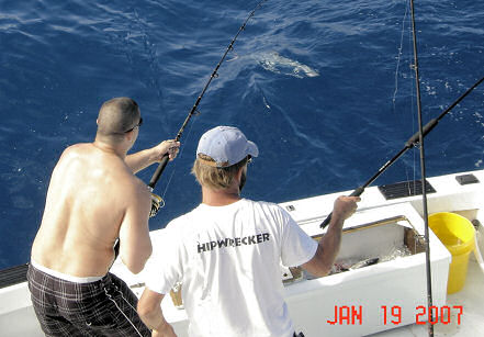 Pictures of Fish Caught aboard while Fishing Key West Charter Boat Southbound