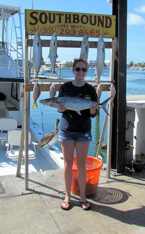 Cero Mackerel caught in Key West fishing on charter boat Southbound from Charter Boat Row, Key West