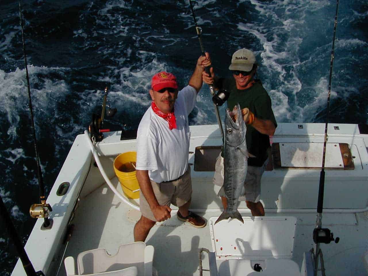 Webstercuda.jpg (104097 bytes)