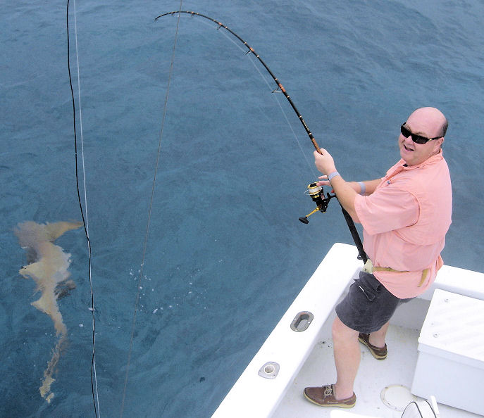 Shark caught in Key West Fishing on charter boat Southbound from Charter Boat Row, Key West