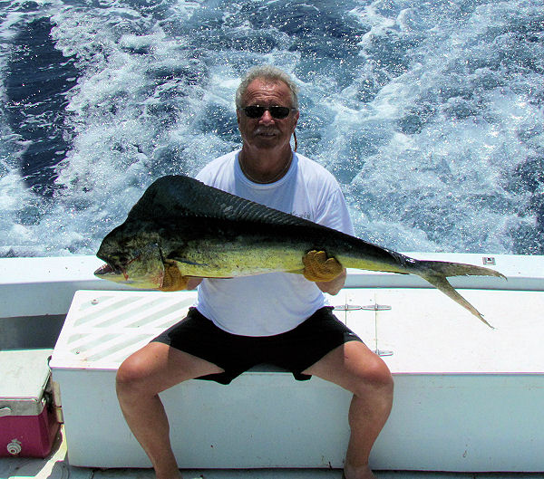 dolphin caugth in Key West fishing on Key West charter boat Southbound from Charter Boat Row