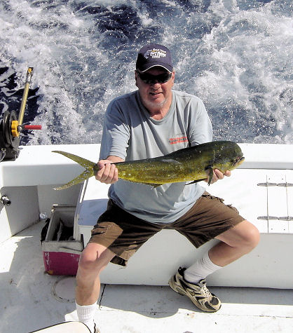 Dolphin caught fishing Key West on charter boat Southbound from Charter Boat Row Key West