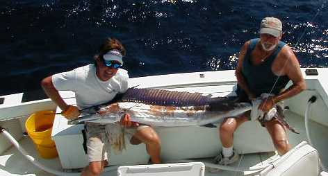 White Marlin off Key West, Florida