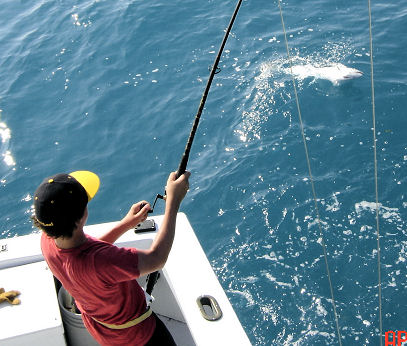 King Mackerel being caught deep sea fishing on Key West Charter fishing boat Southbound from Charter Boat Row, Key West