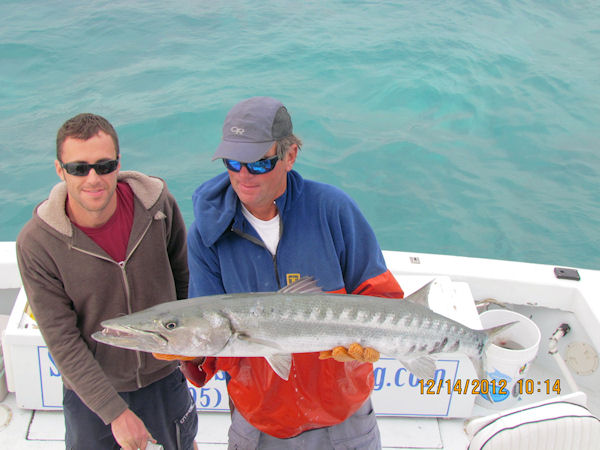 Barracuda caught fishing Key West on charter boat Southbound from Charter Boat Row Key West