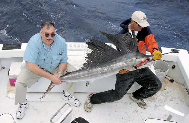 Sailfish caught and released aboard the charter boat Southbound in Key West, Florida
