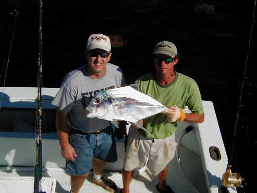 african pompano.jpg (18938 bytes)