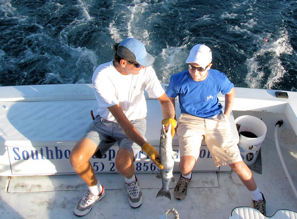Barracuda caught in Key West fishing on charter boat Southbound from Charter Boat Row, Key West